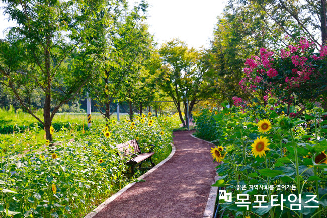 보성군, 미세먼지 숲길에서 꽃도 보고 건강도 챙기고.